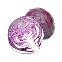 Cavolo Cappuccio Rosso
