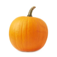 ZUCCA TONDA
