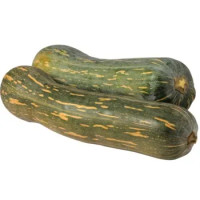 ZUCCA TIPO NAPOLI