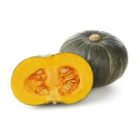 ZUCCA DELICA