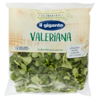 IL GIGANTE Le Insalate Valeriana 100 g