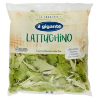 IL GIGANTE Le Insalate Lattughino 100 g