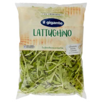 IL GIGANTE Le Insalate Lattughino 180 g