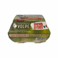 Volpe Uova All'aperto Xl X4