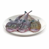 Pescatrice 1000/2000