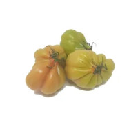 Pomodori Cuore Di Bue Extra