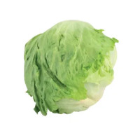 Iceberg Gr.300
