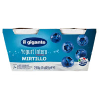 IL GIGANTE Yogurt Intero Mirtillo 2 x 125 g