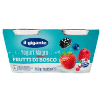 IL GIGANTE Yogurt Magro Frutti Di Bosco 2 x 125 g