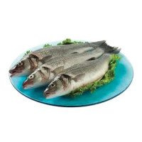 BRANZINO EVISCERATO