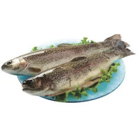 TROTA IRIDEA SALMONATA EVISCERATA