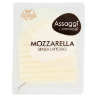 Assaggi e Paesaggi Mozzarella Senza Lattosio 90 g