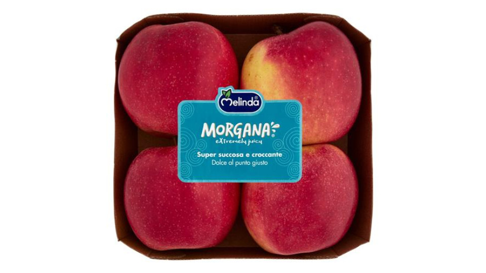 Melinda Morgana 0,900 kg