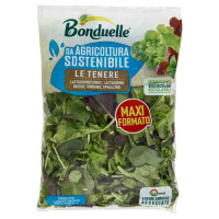 Bonduelle le Tenere 200 g