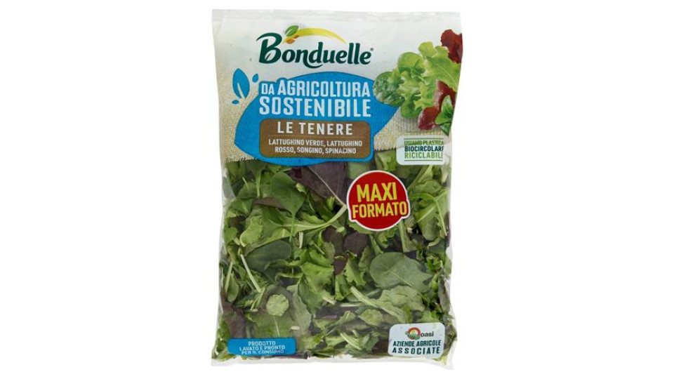 Bonduelle le Tenere 200 g