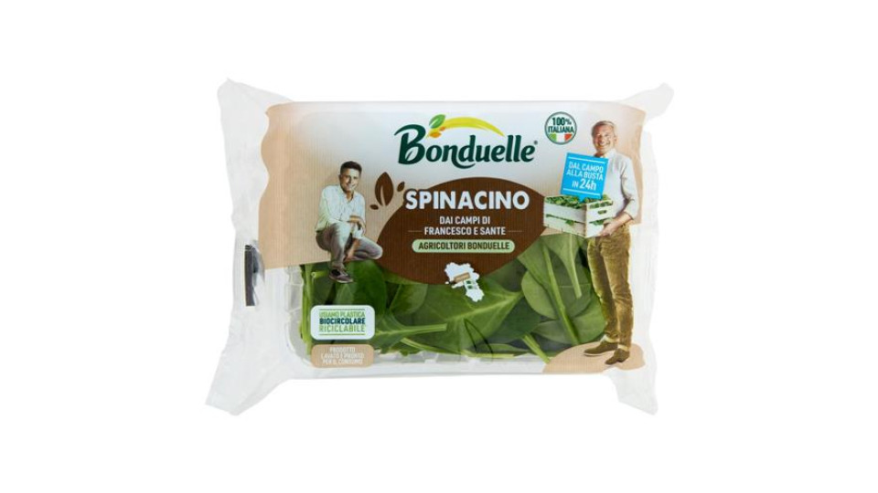 Insalata lavata e pronta per il consumo