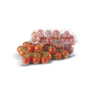 Pomodoro Ciliegino Cat I^ Origine Italia Conf. Gr 500