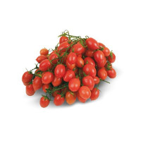 Pomodoro Piccadilly Sicilia Cat I^ Origine Italia Gr 500