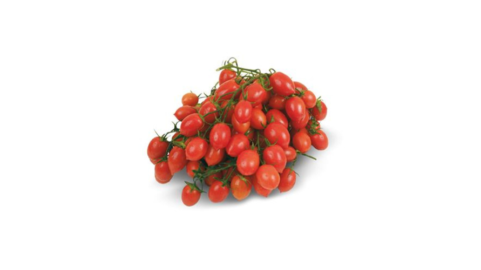 Pomodoro Piccadilly Sicilia Cat I^ Origine Italia Gr 500