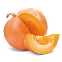 Zucca Fette Vsgr900 Cs6Pz Imp