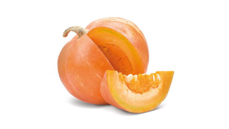 Zucca Fette Vsgr900 Cs6Pz Imp