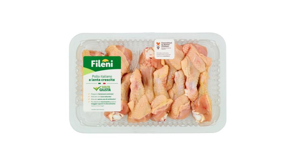 FILENI DELIZIOSE N/ANTIBIOTICO