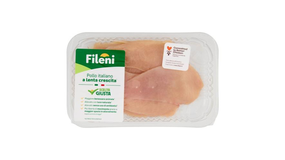 FILENI VELINE B. N/ANTIBIOTICO