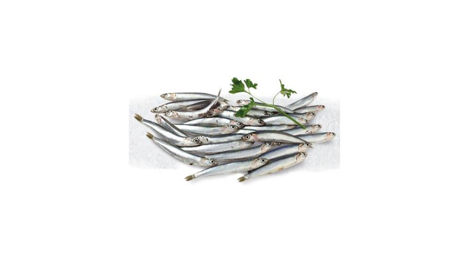 Alici Pescate Fresche Zona Fao 37 - Al Kg