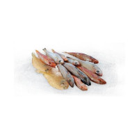 Frittura Di 1° Pescata Fresca Zona Fao 37 - Al Kg