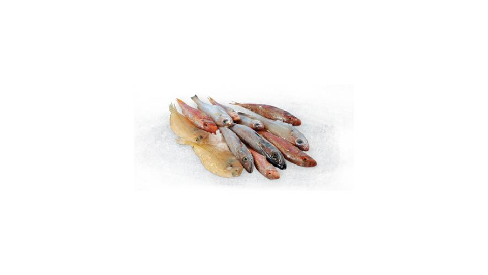 Frittura Di 1° Pescata Fresca Zona Fao 37 - Al Kg