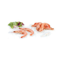 Gambero Argentino L1 Pescato Decongelato Zona Fao 41 - Al Kg