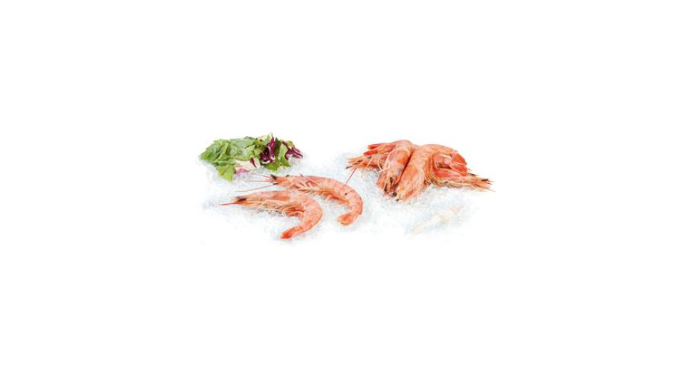 Gambero Argentino L1 Pescato Decongelato Zona Fao 41 - Al Kg