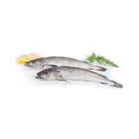 Merluzzo/Nasello Pescato Fresco Zona Fao 27 Al Kg