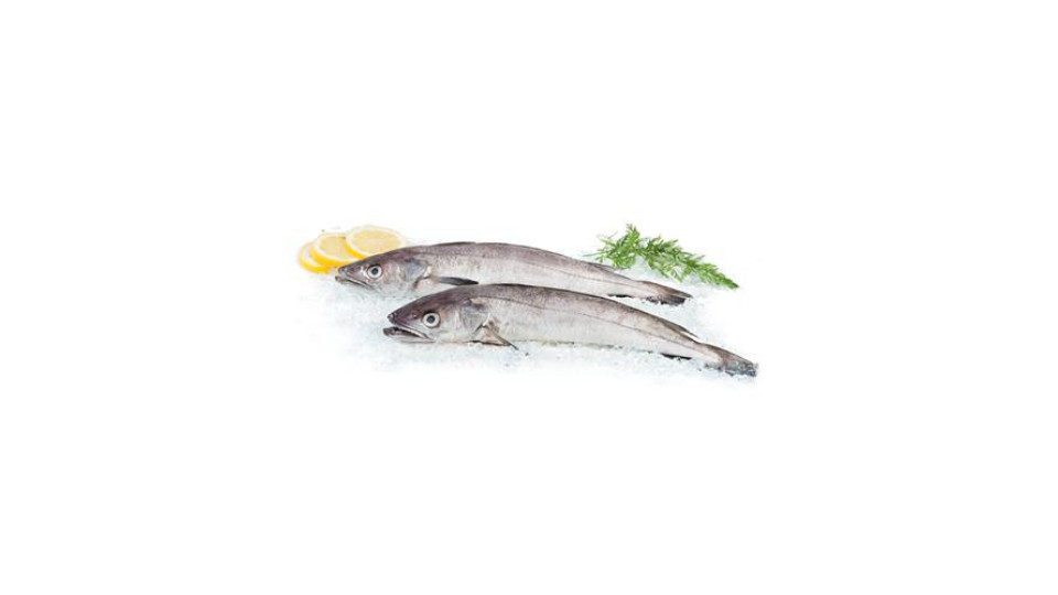 Merluzzo/Nasello Pescato Fresco Zona Fao 27 Al Kg