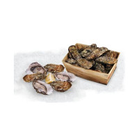 Ostrica “Fine De France” Allevata Fresca Prov. Francia Al Kg