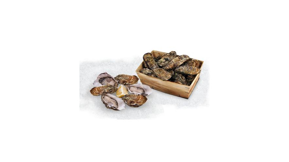 Ostrica “Fine De France” Allevata Fresca Prov. Francia Al Kg