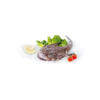 Rana Pescatrice Gr 1000/2000 Ca. Pescata Fresca Zona Fao 27 - Al Kg