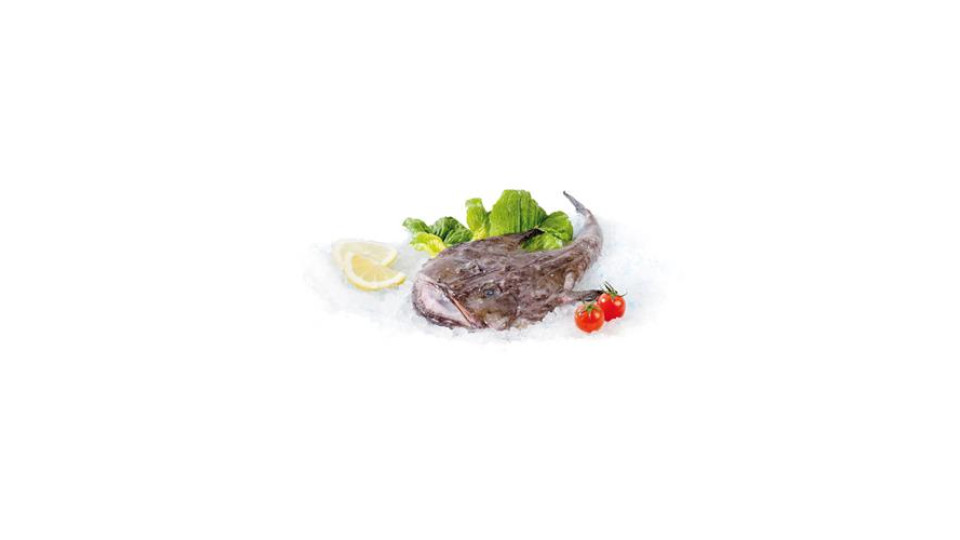 Rana Pescatrice Gr 1000/2000 Ca. Pescata Fresca Zona Fao 27 - Al Kg