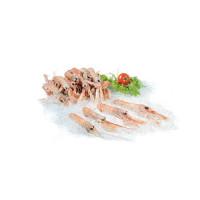 Scampo 16/20 Pescato Fresco Zona Fao 27 - Al Kg