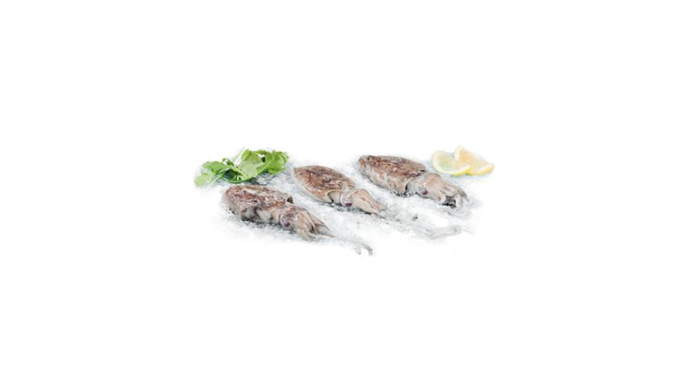 Seppia Gr 100/300 Ca. Pescata Fresca Zona Fao 27 - Al Kg