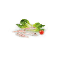 Triglia Di 1° Pescata Fresca Zona Fao 37 - Al Kg