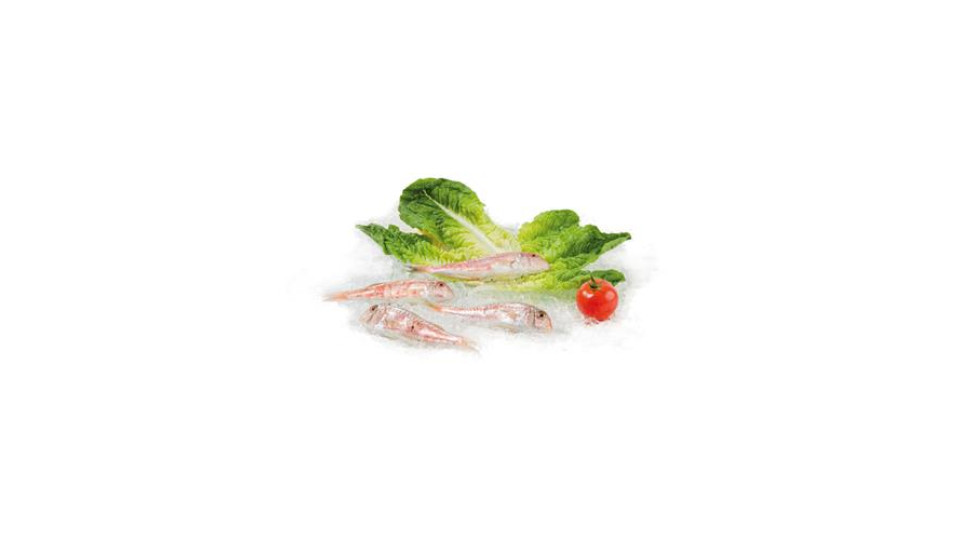 Triglia Di 1° Pescata Fresca Zona Fao 37 - Al Kg