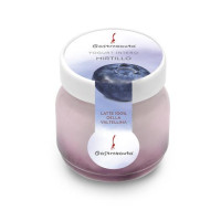 GASTRONAUTA YOGURT INTERO MIRTILLO