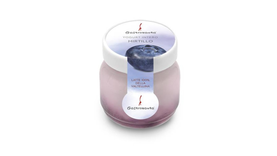 GASTRONAUTA YOGURT INTERO MIRTILLO