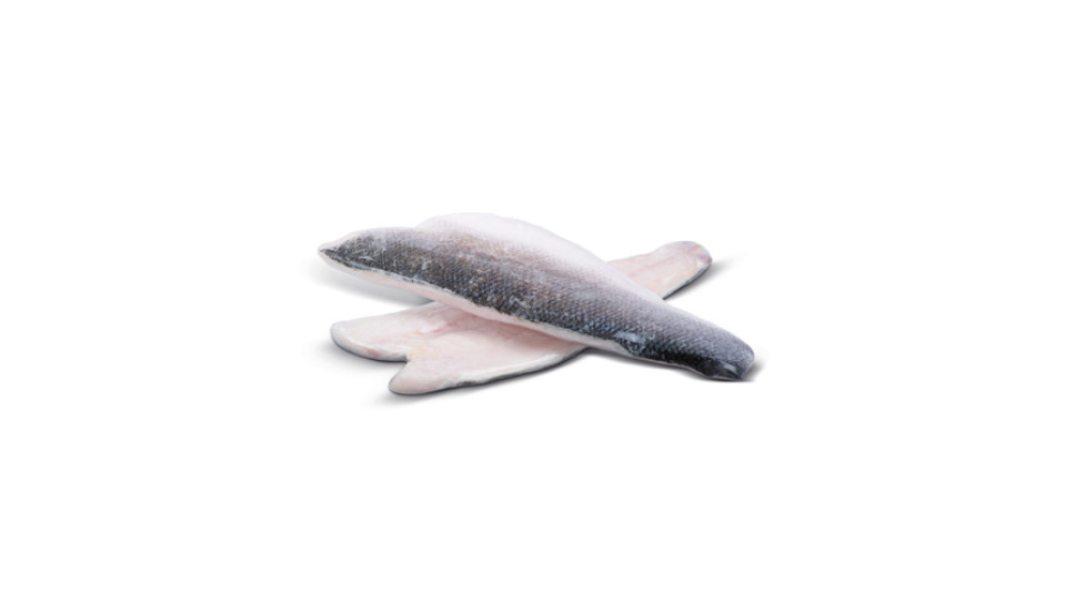 FILET.SPIGOLA CONG.120/160GR