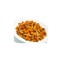 FUNGHI CHIODINI CONG. AL KG