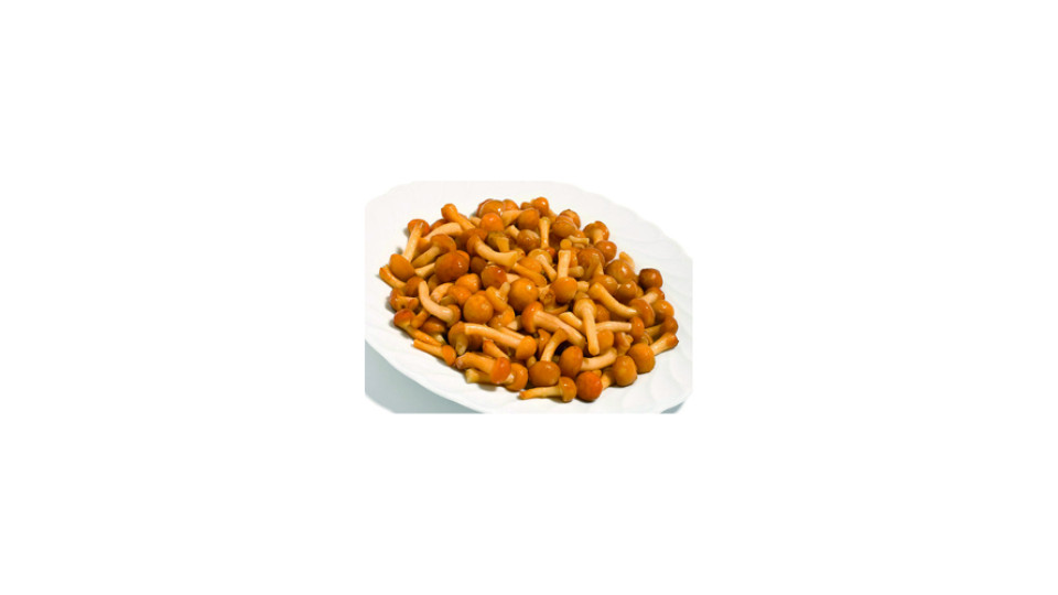 FUNGHI CHIODINI CONG. AL KG