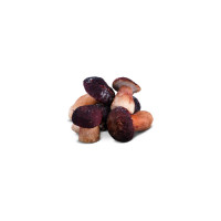 FUNGHI PORCINI INTERI CONG.KG
