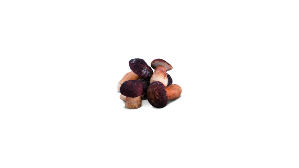 FUNGHI PORCINI INTERI CONG.KG