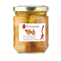 GASTRONAUTA LAMPASCIONI 190GR